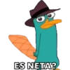 ES NETA?