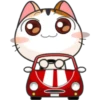 Funny Cats 7
