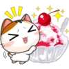Funny Cats 8