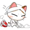 Funny Cats 9