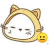 Cat cutee 5