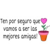 Rosa de Guadalupe 8