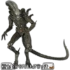 Alien vs Depredador ️ 10