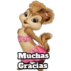 Muchas
Gracias
