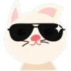 White kitty 8