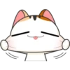 Funny Cats 12