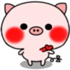 Pink Baby Pig 8