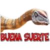 BUENA SUERTE