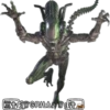 Alien vs Depredador ️ 11