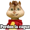 Perdon la cague