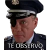 TE OBSERVO
