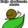 Exijo obediencia
ahora