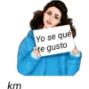 Yo se qué te gusto