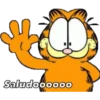 Saludoooooo