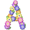 Abecedario de flores 11