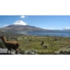Chile☆♡ 11