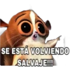 SE ESTÁ VOLVIENDO
SALVAJE!