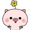 Pink Baby Pig 9