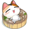 Funny Cats 15