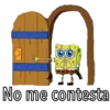 Bob llorón 13