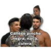 Cállese pinche
negra, naca,
culera!