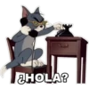 HOLA?