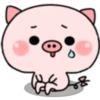 Pink Baby Pig 11