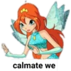 Club Winx 11