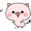 Pink Baby Pig 13