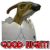 GOOD NIGHT!