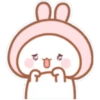 Little bunny 17