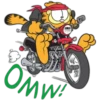 Garfield 1 10