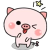 Pink Baby Pig 15