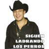 SIGUEN
LADRANDO
LOS PERROS