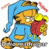 Flojera
Flojera
Odio madrugar
