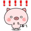 Pink Baby Pig 16