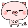 Pink Baby Pig 17