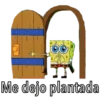 Bob llorón 20
