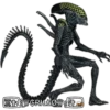 Alien vs Depredador ️ 15