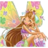 Club Winx 14