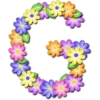 Abecedario de flores 17