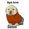 lomitos bonitos parte 3 6