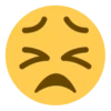 V
V
