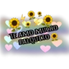 Pack de Novios 7 18