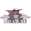 NO LO SÉ