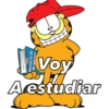 Mentiras de
Mi pareja
Voy
12
A estudiar