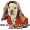 lomitos bonitos parte 4 5
