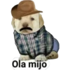 lomitos bonitos parte 3 7