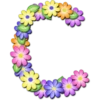 Abecedario de flores 19