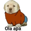 lomitos bonitos parte 3 8